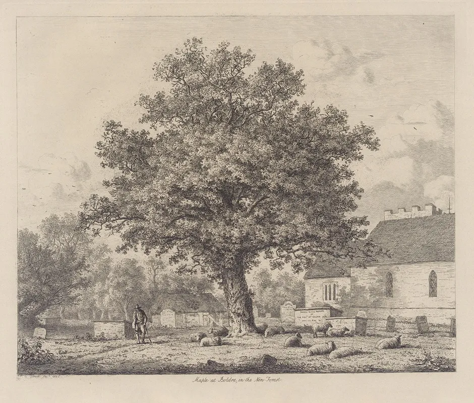 Maple In Boldre Church Yard Wall Art by Jacob George Strutt - High-Resolution Digital Print