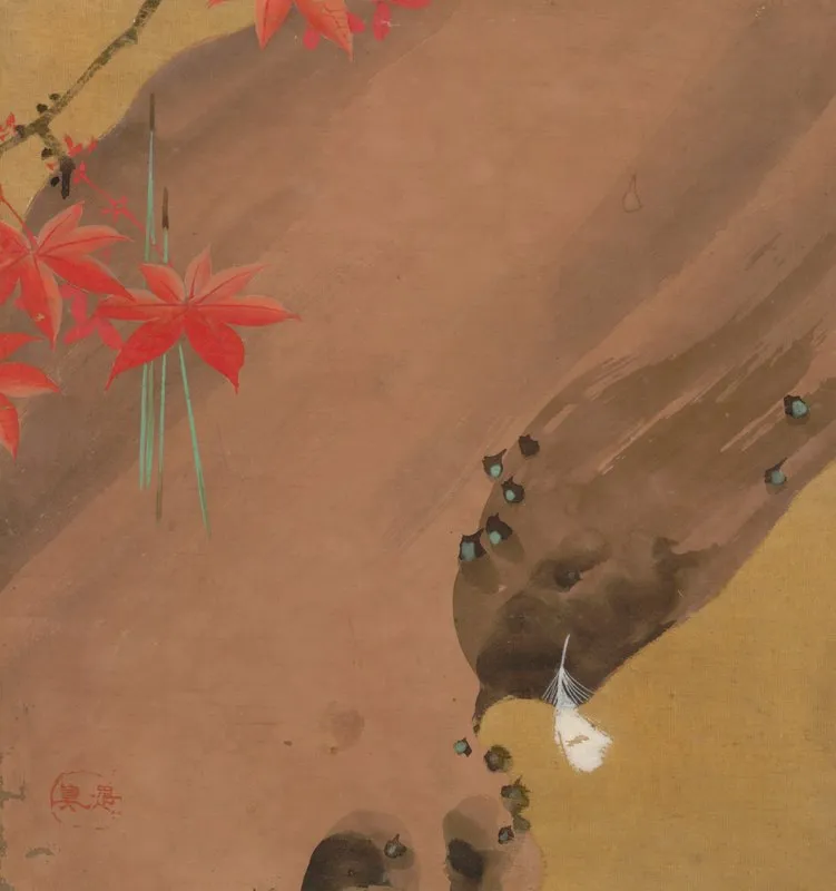 Maple Leaves And Feather