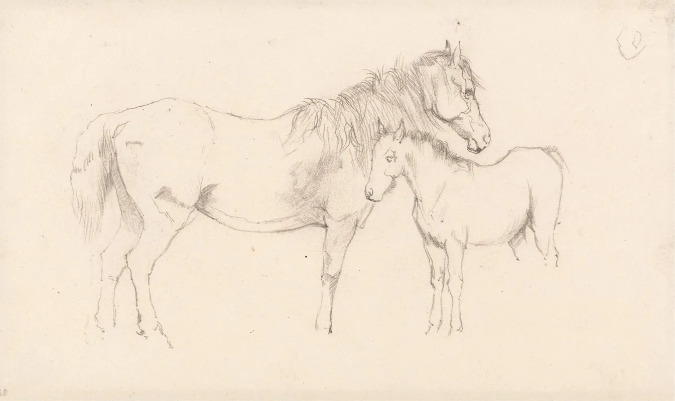 Mare And Foal 3 Wall Art by Arthur James Stark - High-Resolution Digital Print