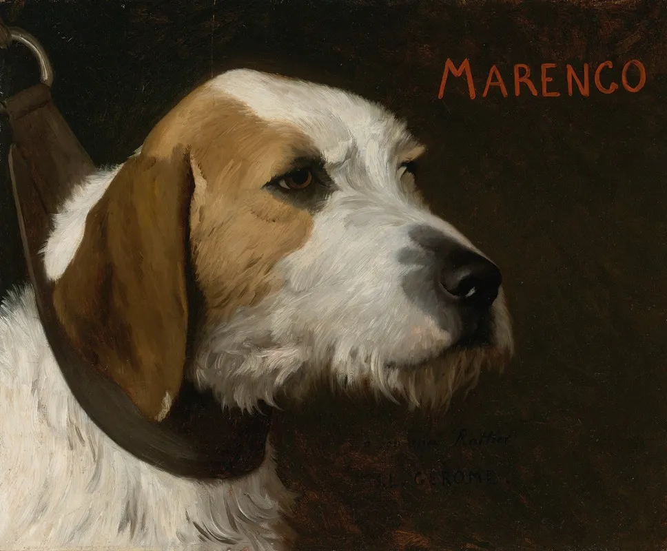Marengo