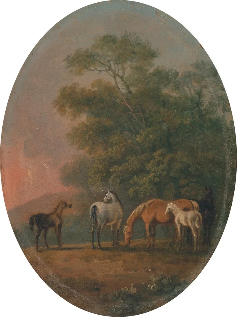 Mares And Foals