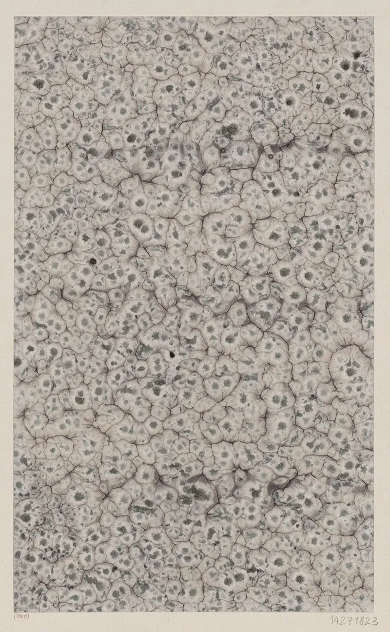 Marmorpapier 59
