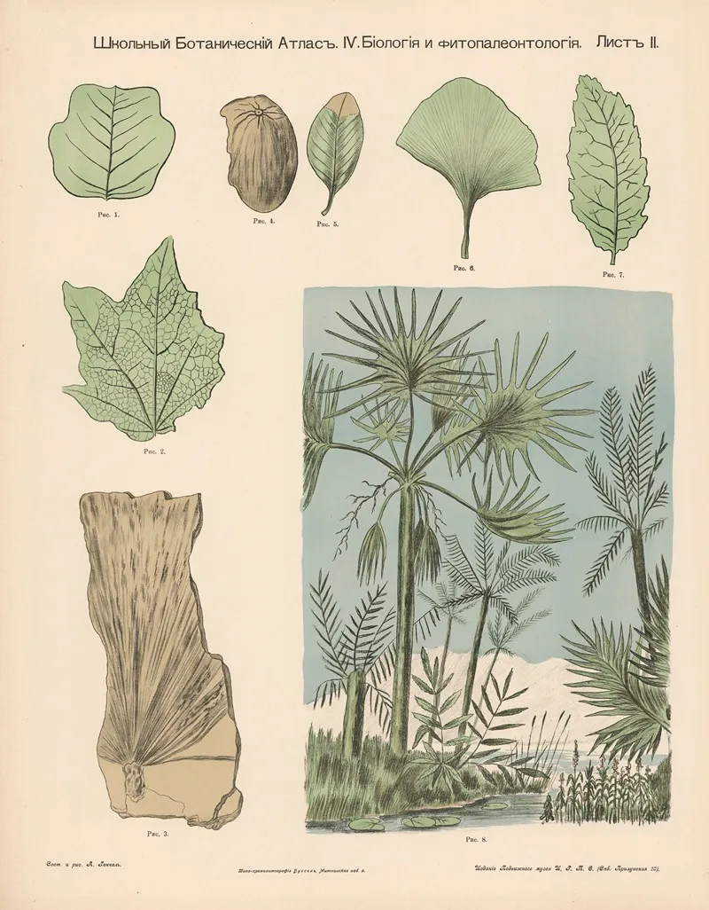 Marsh Plants Fossils Wall Art by Alexander-Paul Henckel - High-Resolution Digital Print
