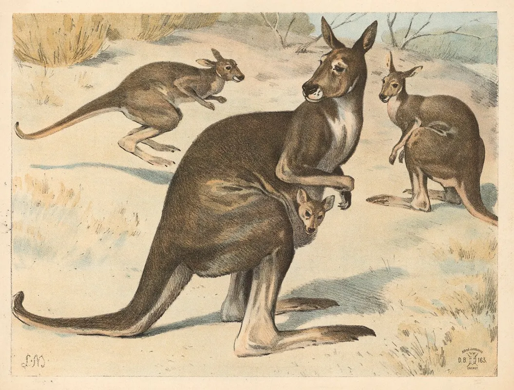 Marsupials Wall Art by Lauritz Mehrn - High-Resolution Digital Print