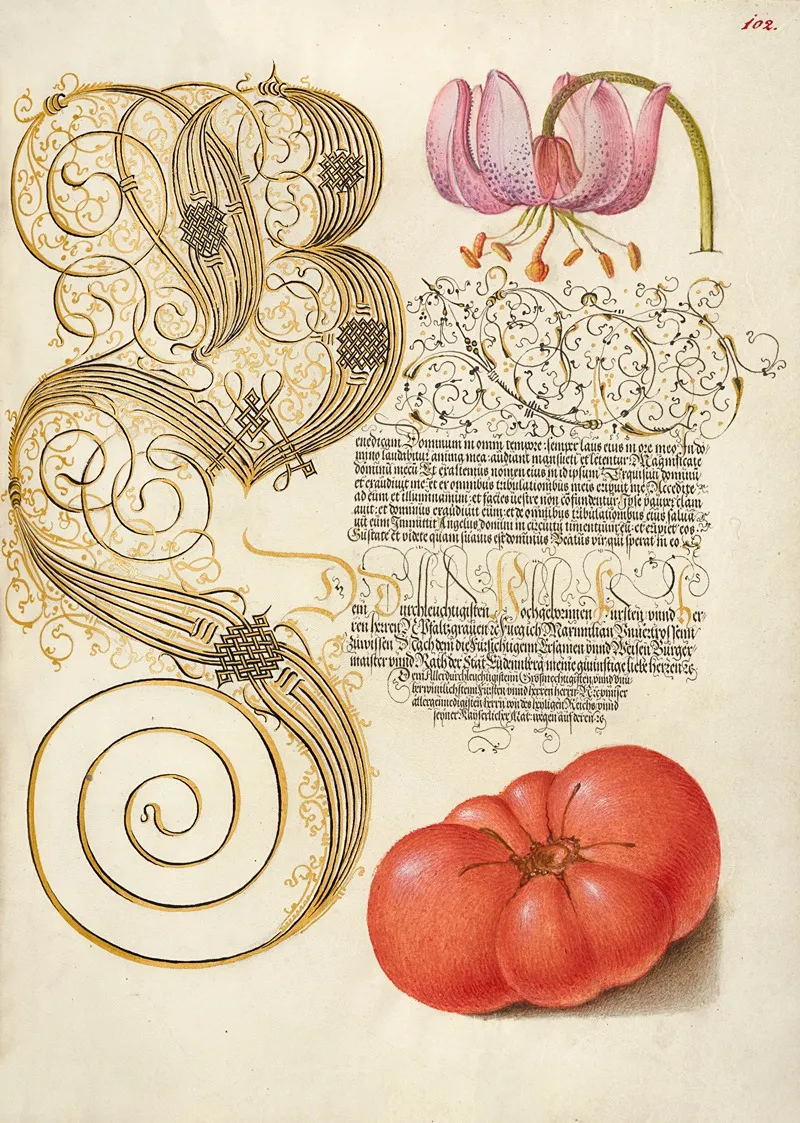 Martagon Lily And Tomato