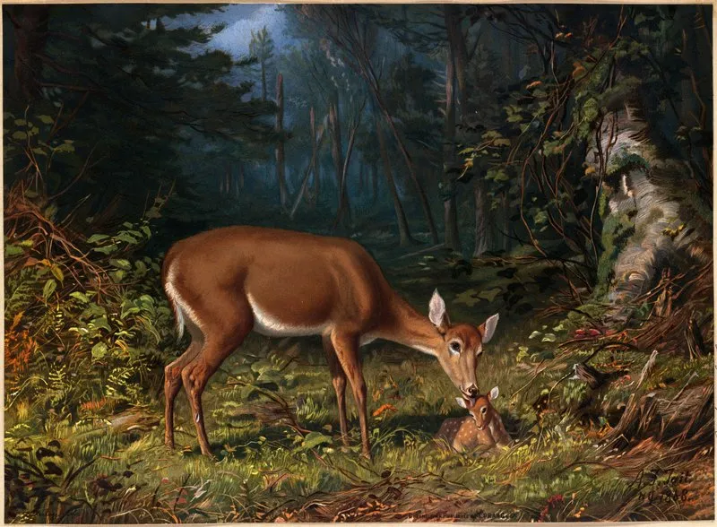 Maternal Love