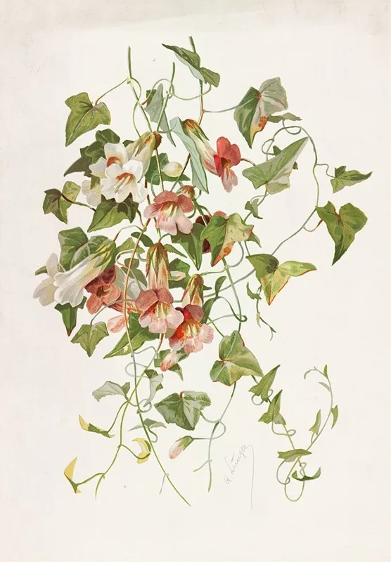 Maurandia Wall Art by Alois Lunzer - High-Resolution Digital Print