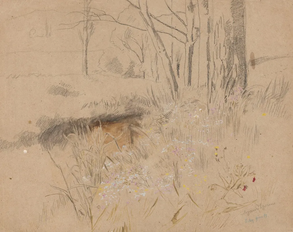 Meadow 4