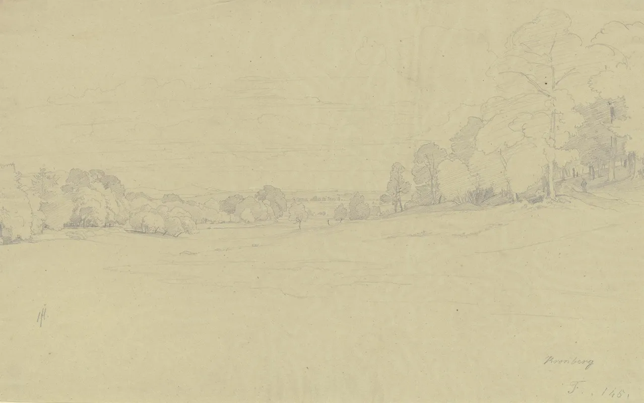 Meadow Ground Near Kronberg