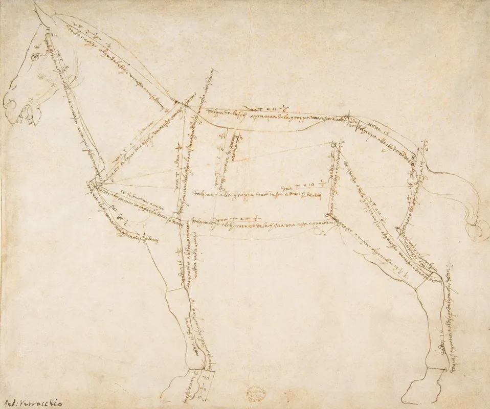 Measured Drawing Of A Horse Facing Left Wall Art by Andrea del Verrocchio - High-Resolution Digital Print