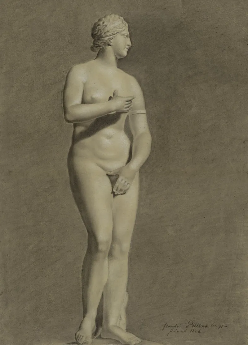 Medici Venus Wall Art by François Pettens  - High-Resolution Digital Print
