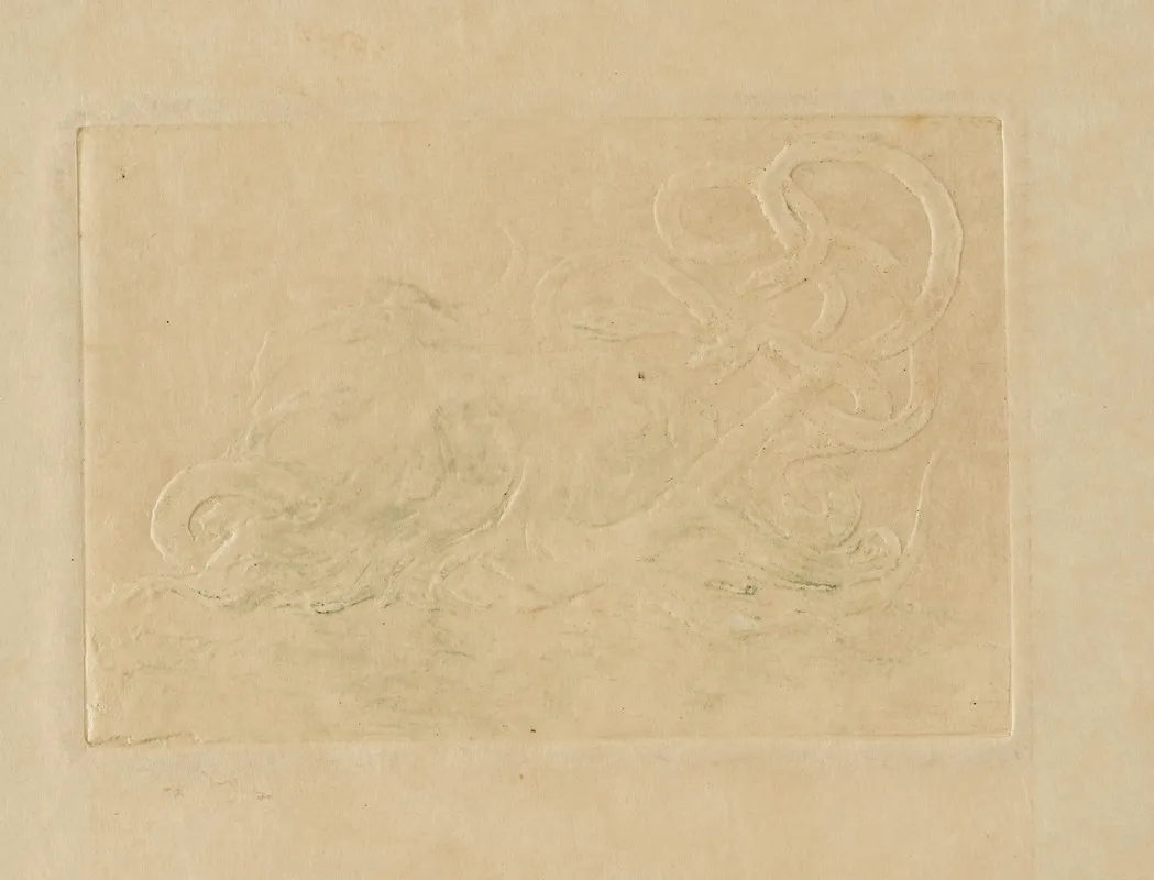Meduse