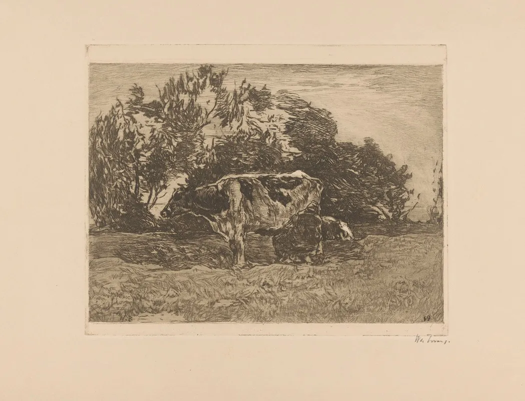 Melkende Boer 3