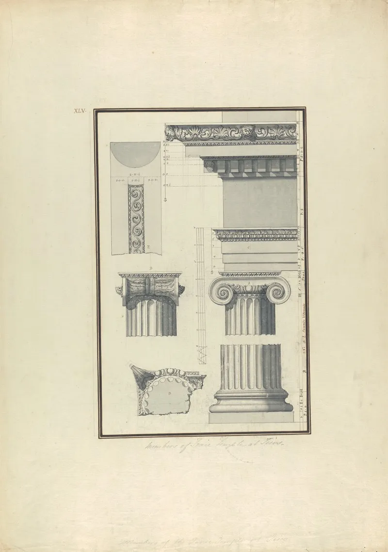 Members Of An Ionic Temple At Teos