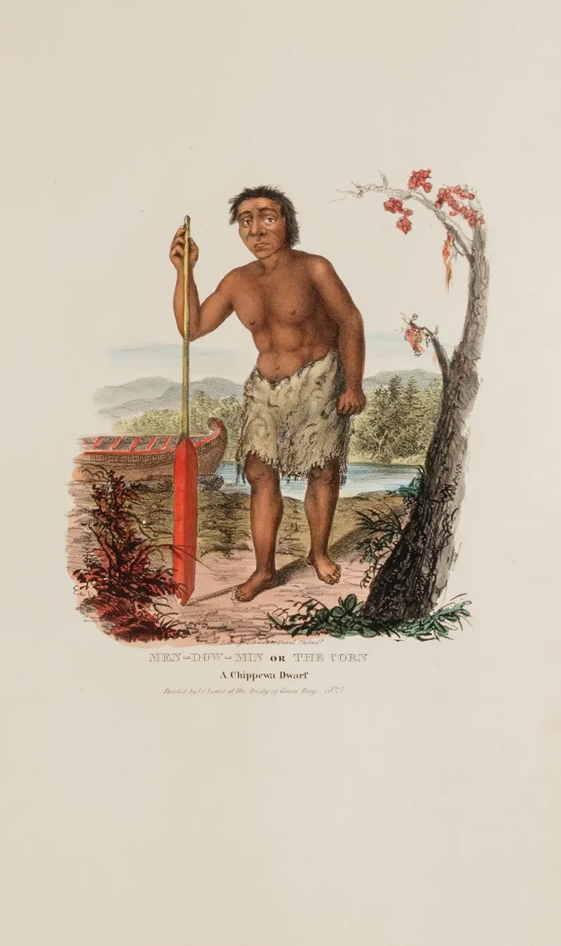 Men Dow Min Or The Corn A Chippewa Dwarf