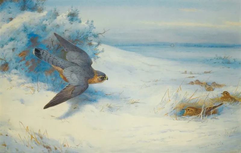 Merlin And Larks Wall Art by Archibald Thorburn - High-Resolution Digital Print