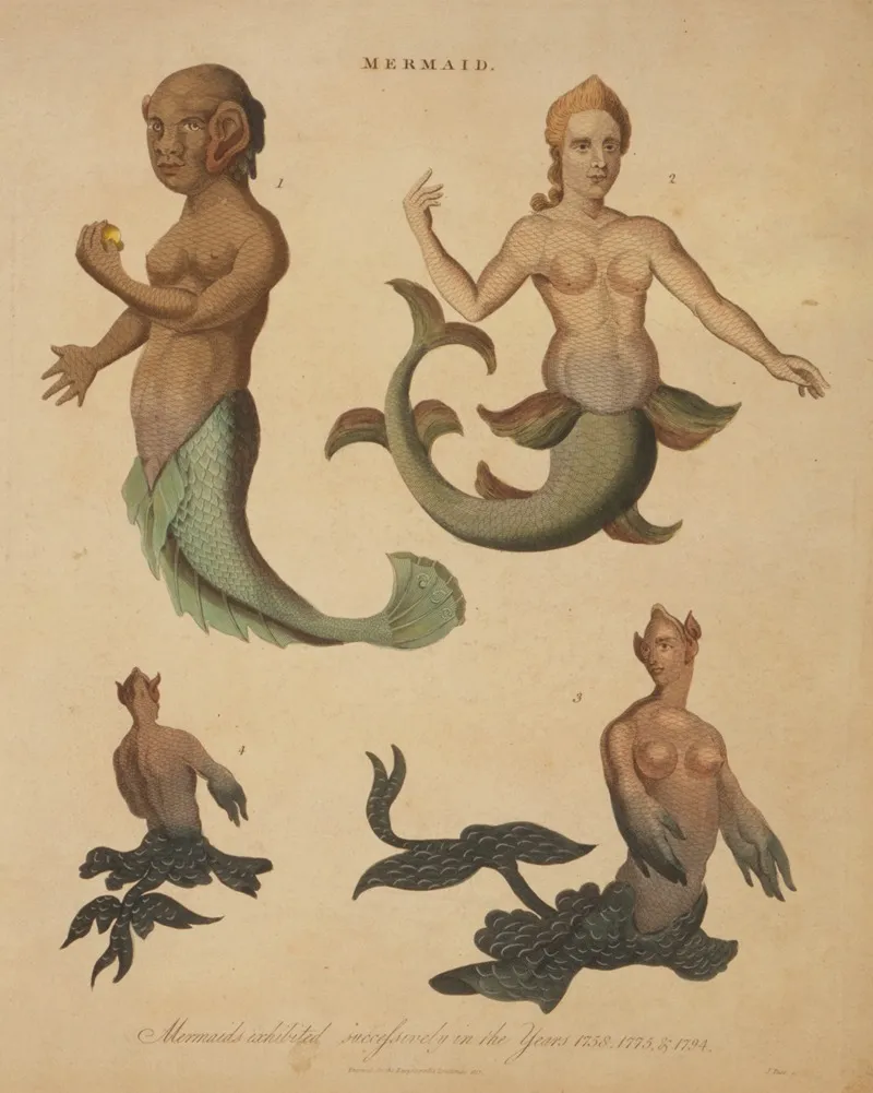 Mermaids Exhibited Successively In The Years 1758 1775 1794 Wall Art by J. Pass - High-Resolution Digital Print