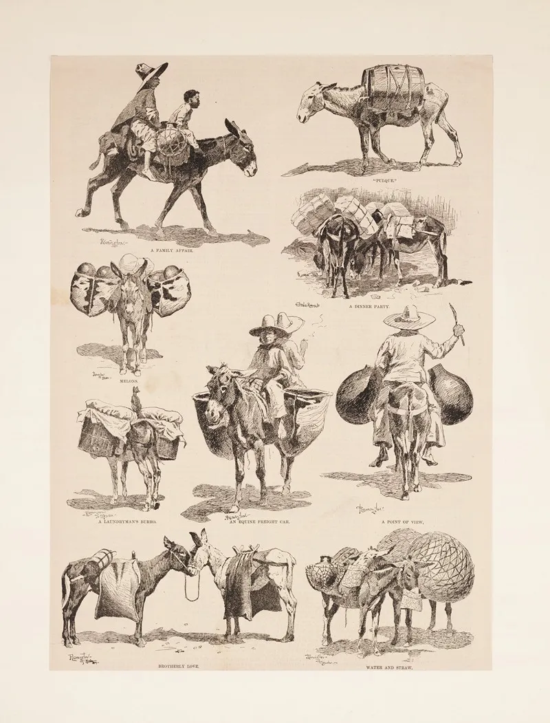 Mexican Burros
