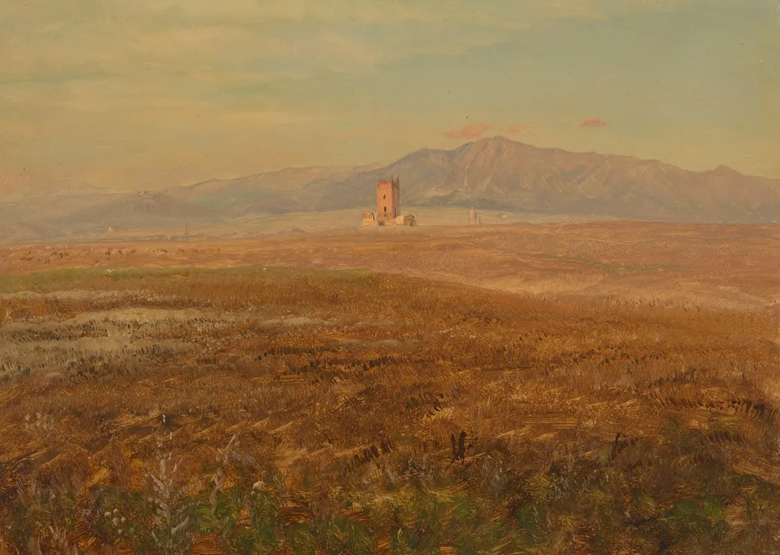 Mexican Landscape
