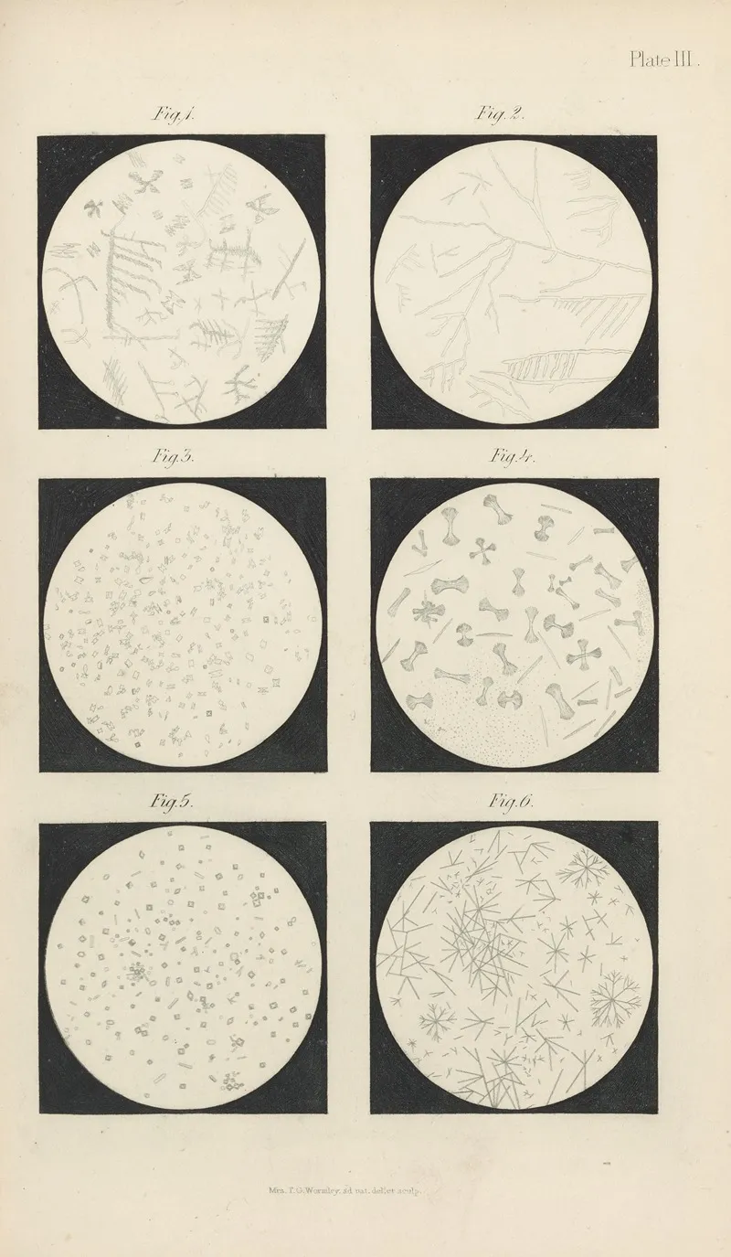 Micro Chemistry Of Poisons Pl 03 Wall Art by Theodore George Wormley - High-Resolution Digital Print