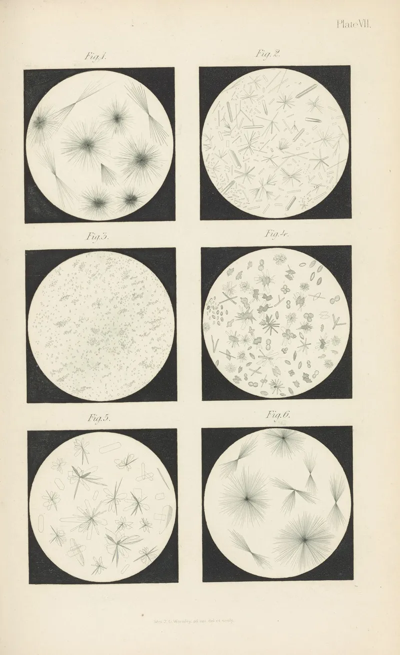 Micro Chemistry Of Poisons Pl 07 Wall Art by Theodore George Wormley - High-Resolution Digital Print