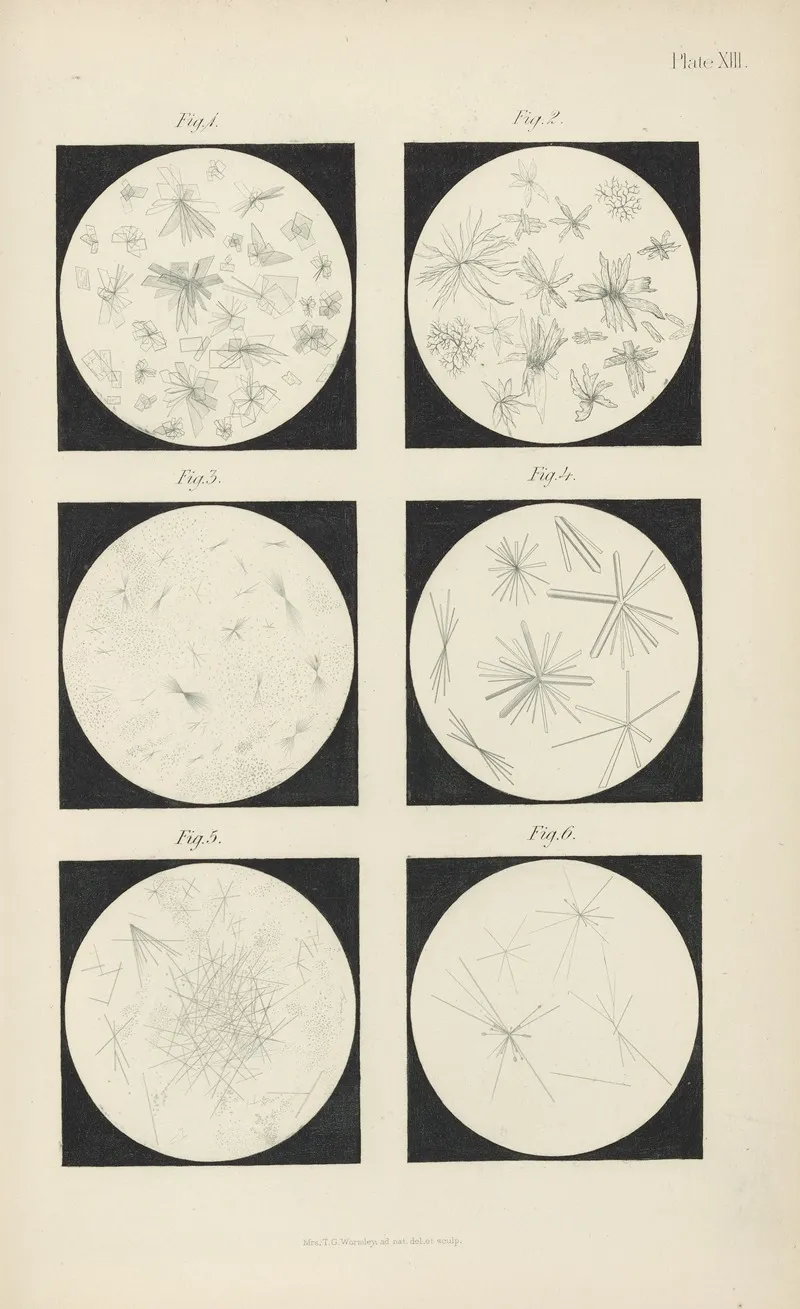 Micro Chemistry Of Poisons Pl 13 Wall Art by Theodore George Wormley - High-Resolution Digital Print