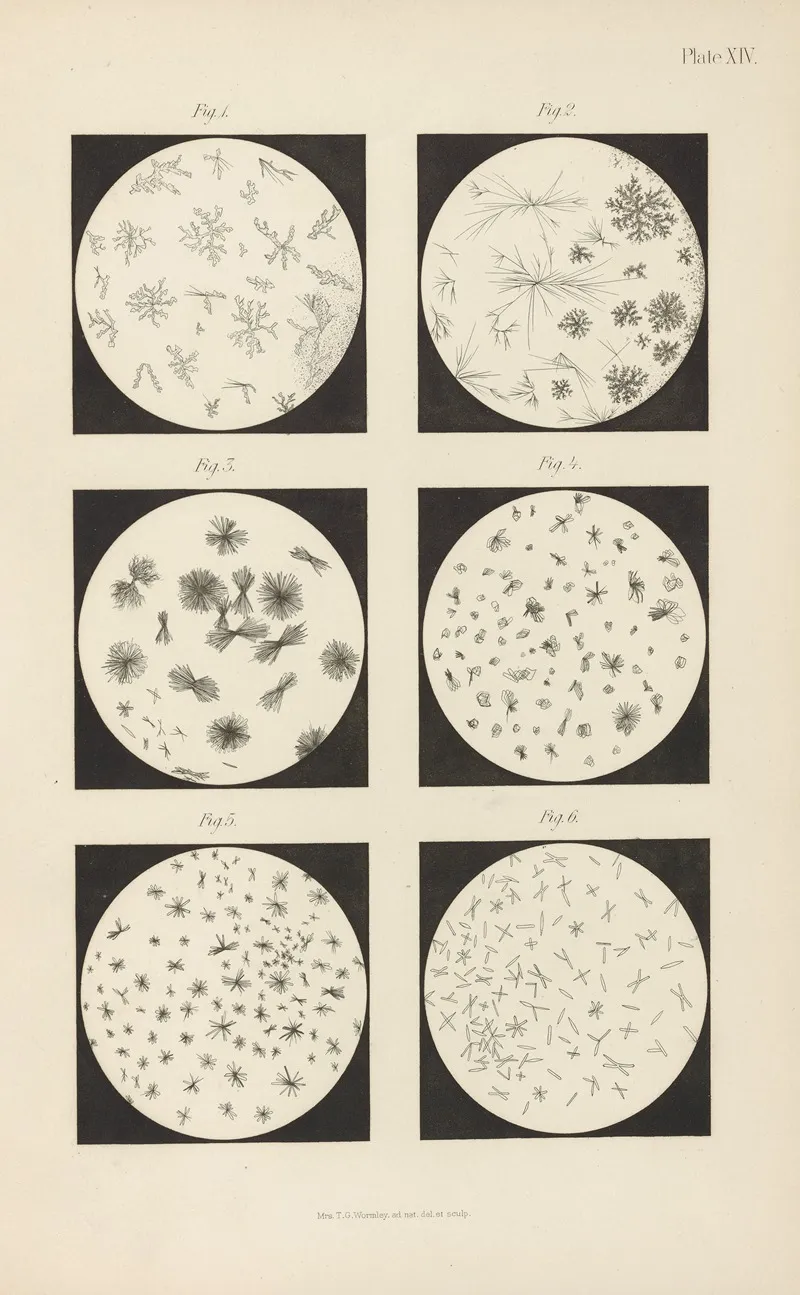 Micro Chemistry Of Poisons Pl 14 Wall Art by Theodore George Wormley - High-Resolution Digital Print
