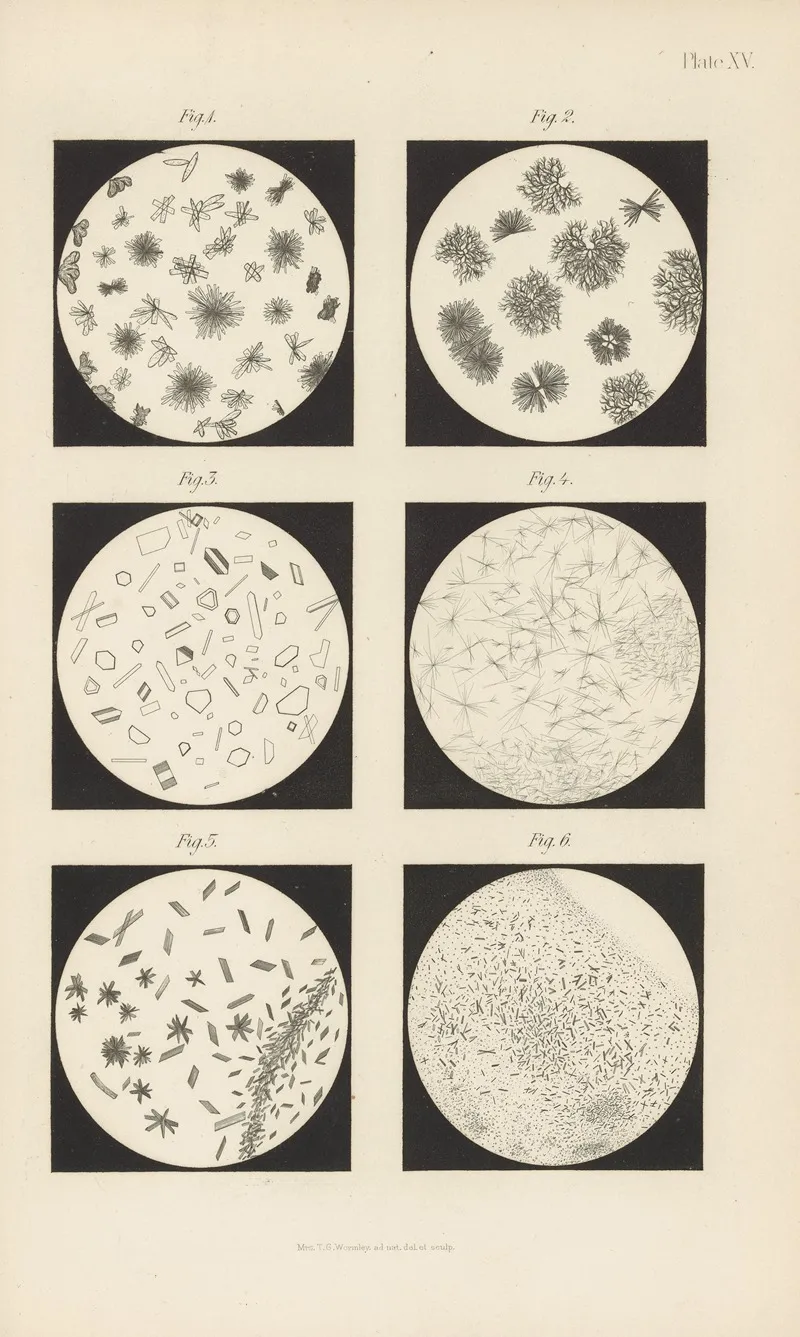 Micro Chemistry Of Poisons Pl 15 Wall Art by Theodore George Wormley - High-Resolution Digital Print