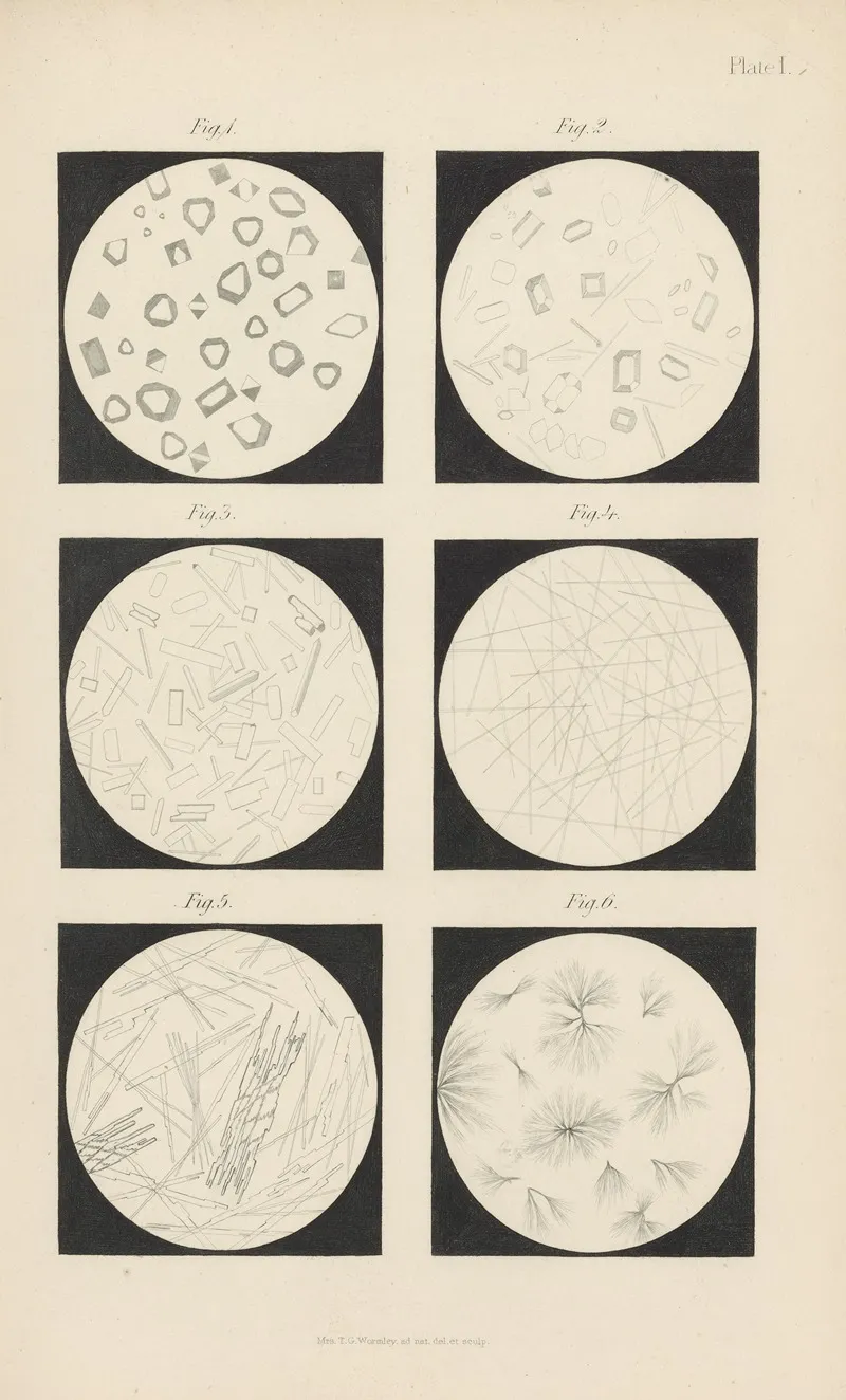 Micro Chemistry Of Poisons Pl 17 Wall Art by Theodore George Wormley - High-Resolution Digital Print
