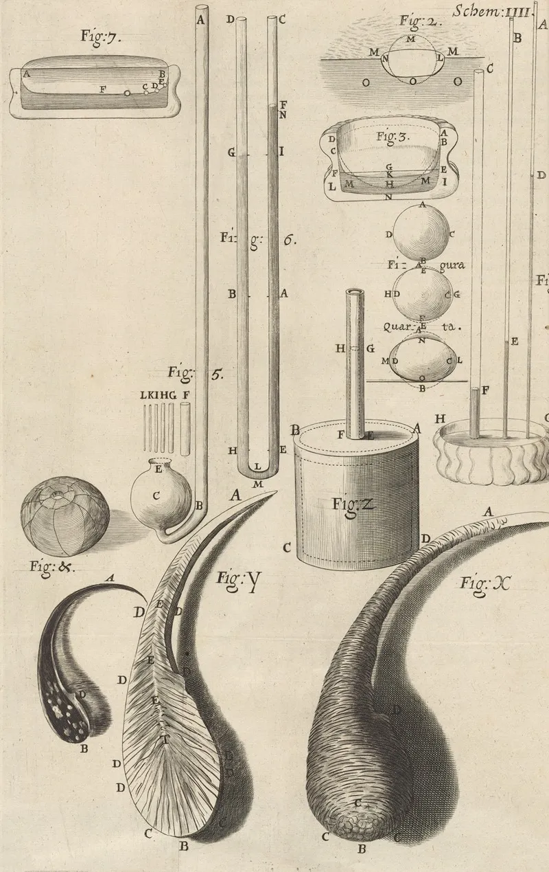 Microscopic View Of Assorted Glass Canes And Drops Wall Art by Robert Hooke - High-Resolution Digital Print