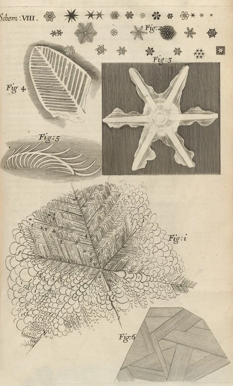 Microscopic View Of Several Kinds Of Frozen Figures Wall Art by Robert Hooke - High-Resolution Digital Print