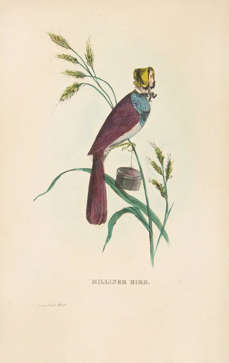 Milliner Bird Minnie Doyle