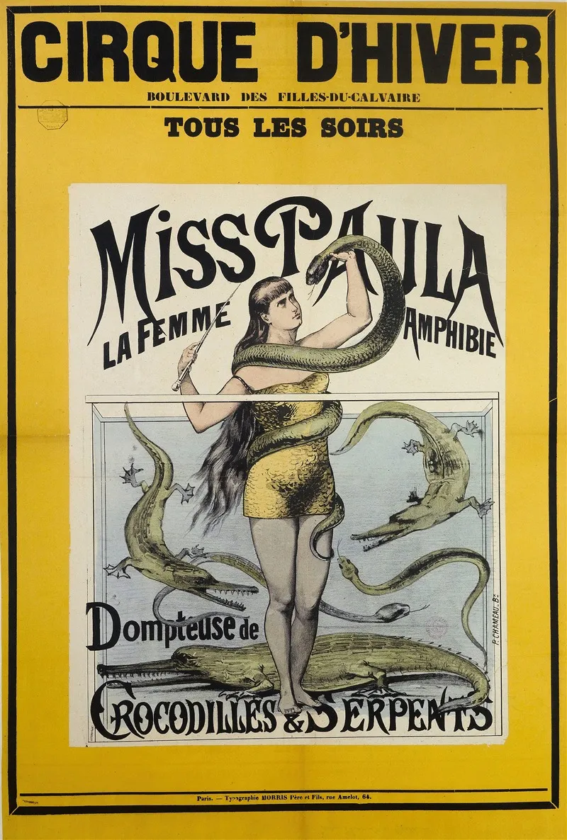 Miss Paula La Femme Amphibie Wall Art by P Chameau - High-Resolution Digital Print