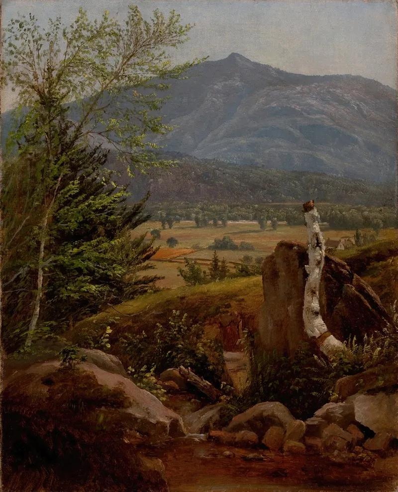 Moat Mountain North Conway Meadows New Hampshire