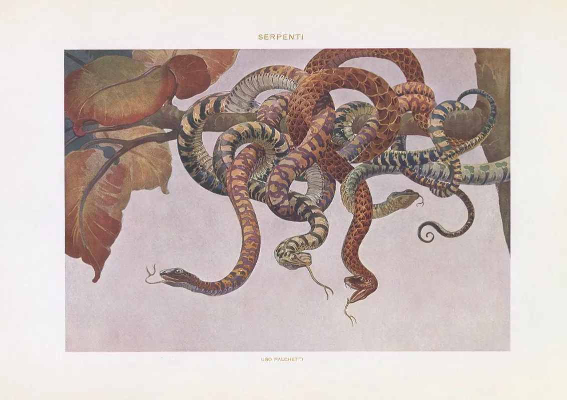 Modern Decorative Art Vol I Pl 05