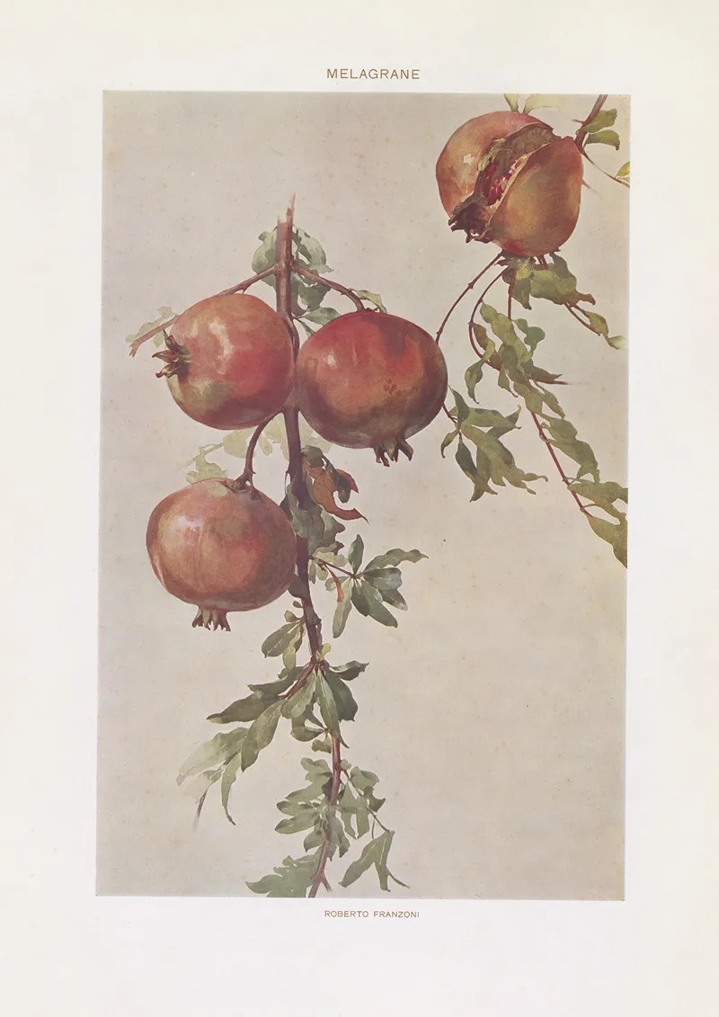 Modern Decorative Art Vol I Pl 12