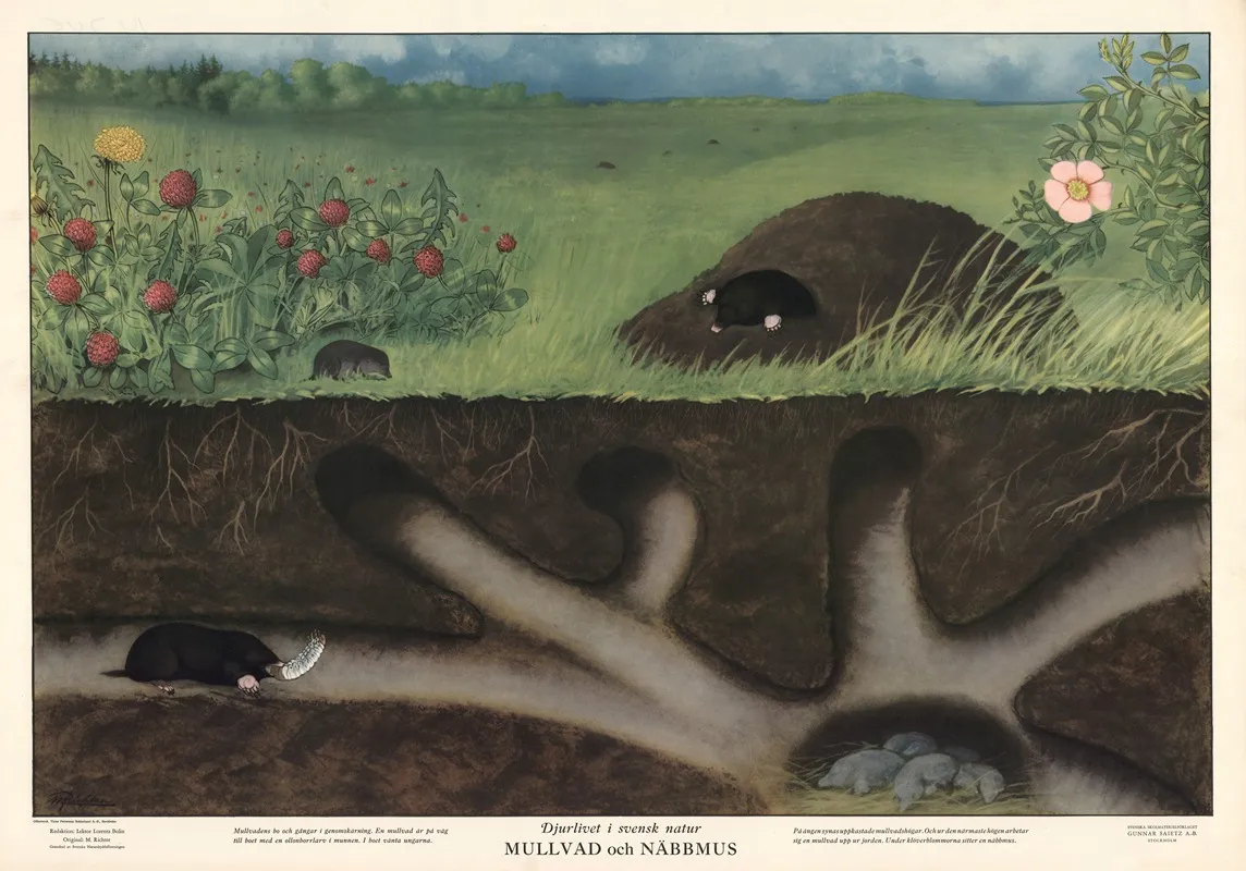 Mole And Shrew Wall Art by Max Richter - High-Resolution Digital Print