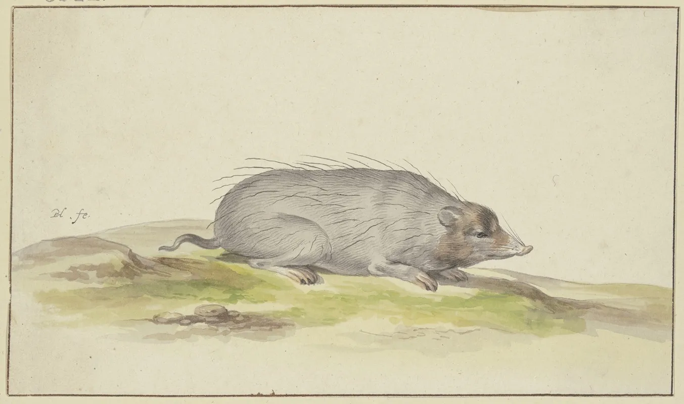 Mole To The Right Wall Art by Pieter Holsteijn - High-Resolution Digital Print