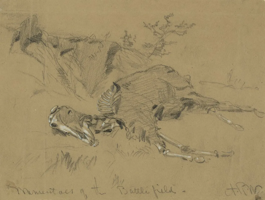 Drawings