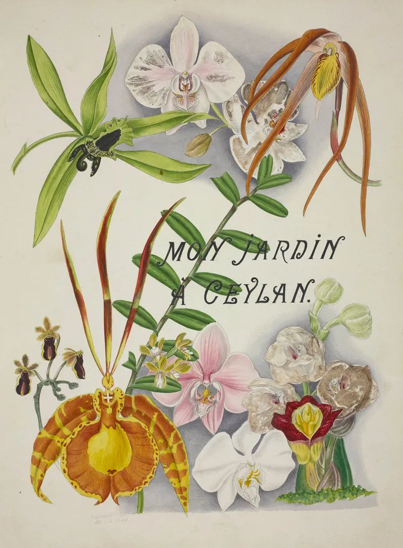 Mon Jardin A Ceylan Pl 003 Wall Art by George De Alwis - High-Resolution Digital Print