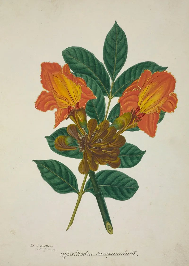 Mon Jardin A Ceylan Pl 005 Wall Art by George De Alwis - High-Resolution Digital Print