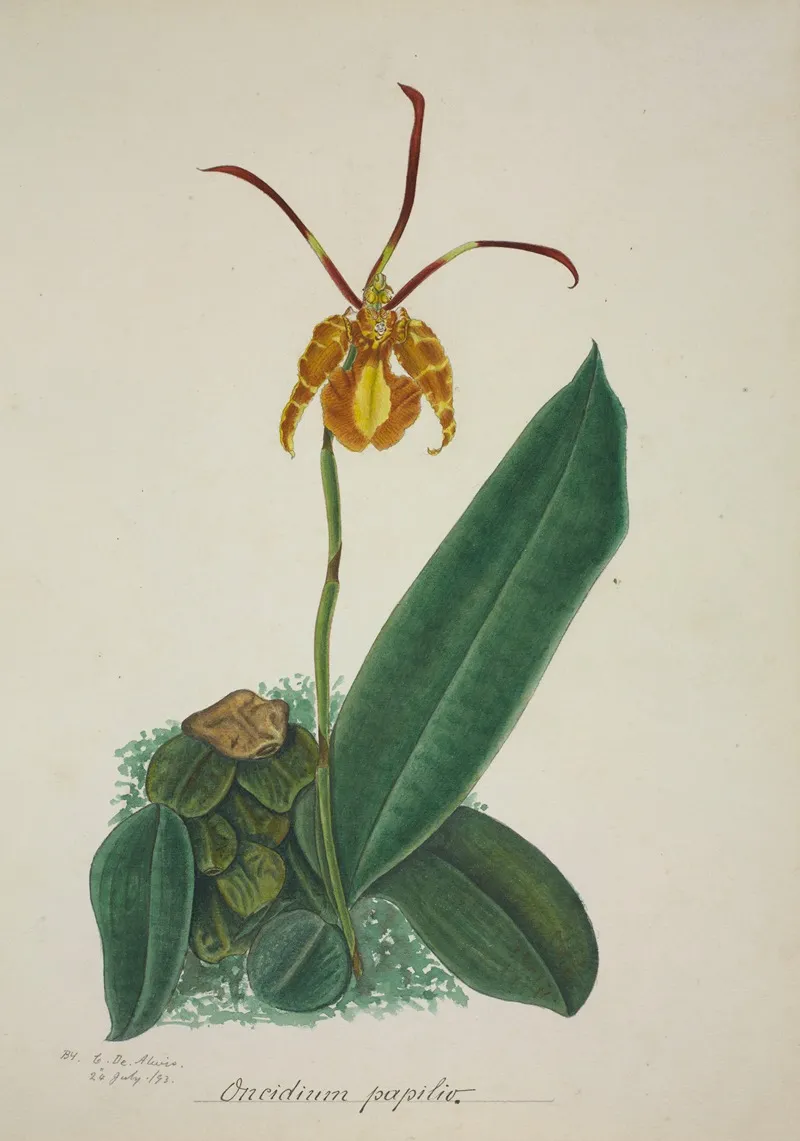 Mon Jardin A Ceylan Pl 024 Wall Art by George De Alwis - High-Resolution Digital Print