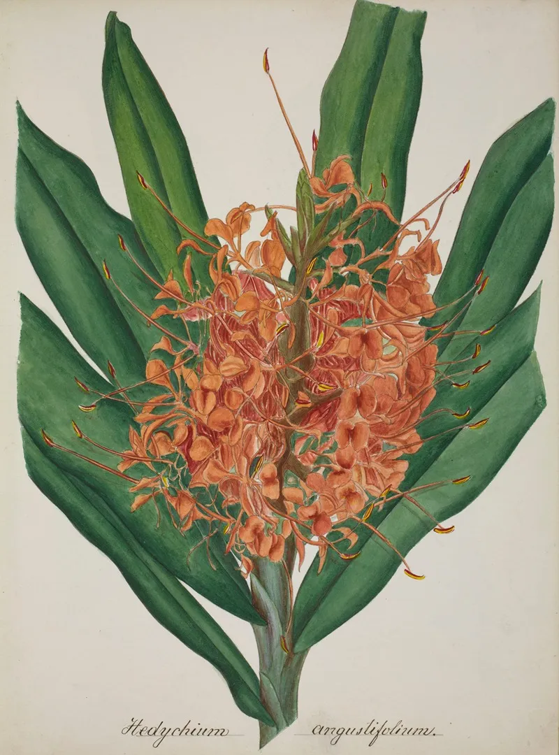 Mon Jardin A Ceylan Pl 037 Wall Art by George De Alwis - High-Resolution Digital Print
