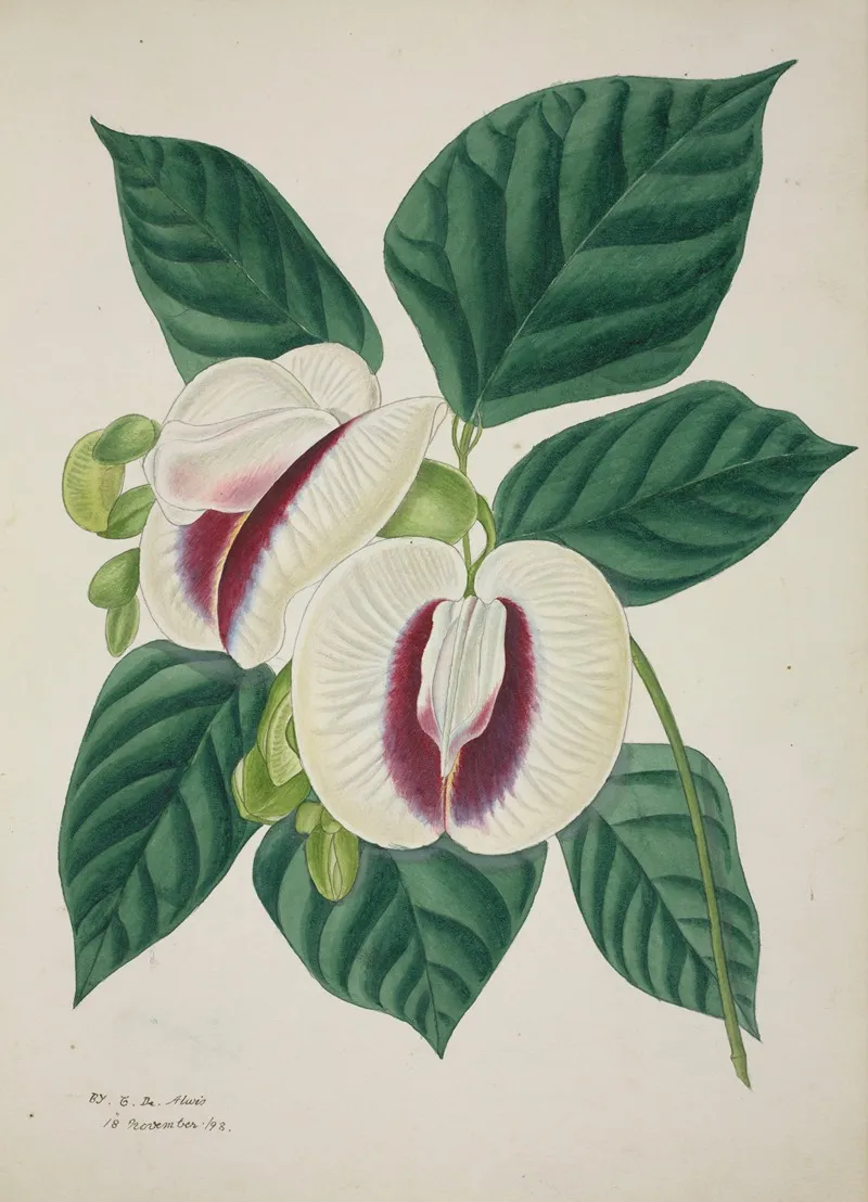 Mon Jardin A Ceylan Pl 038 Wall Art by George De Alwis - High-Resolution Digital Print