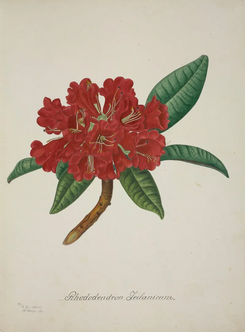 Mon Jardin A Ceylan Pl 043 Wall Art by George De Alwis - High-Resolution Digital Print