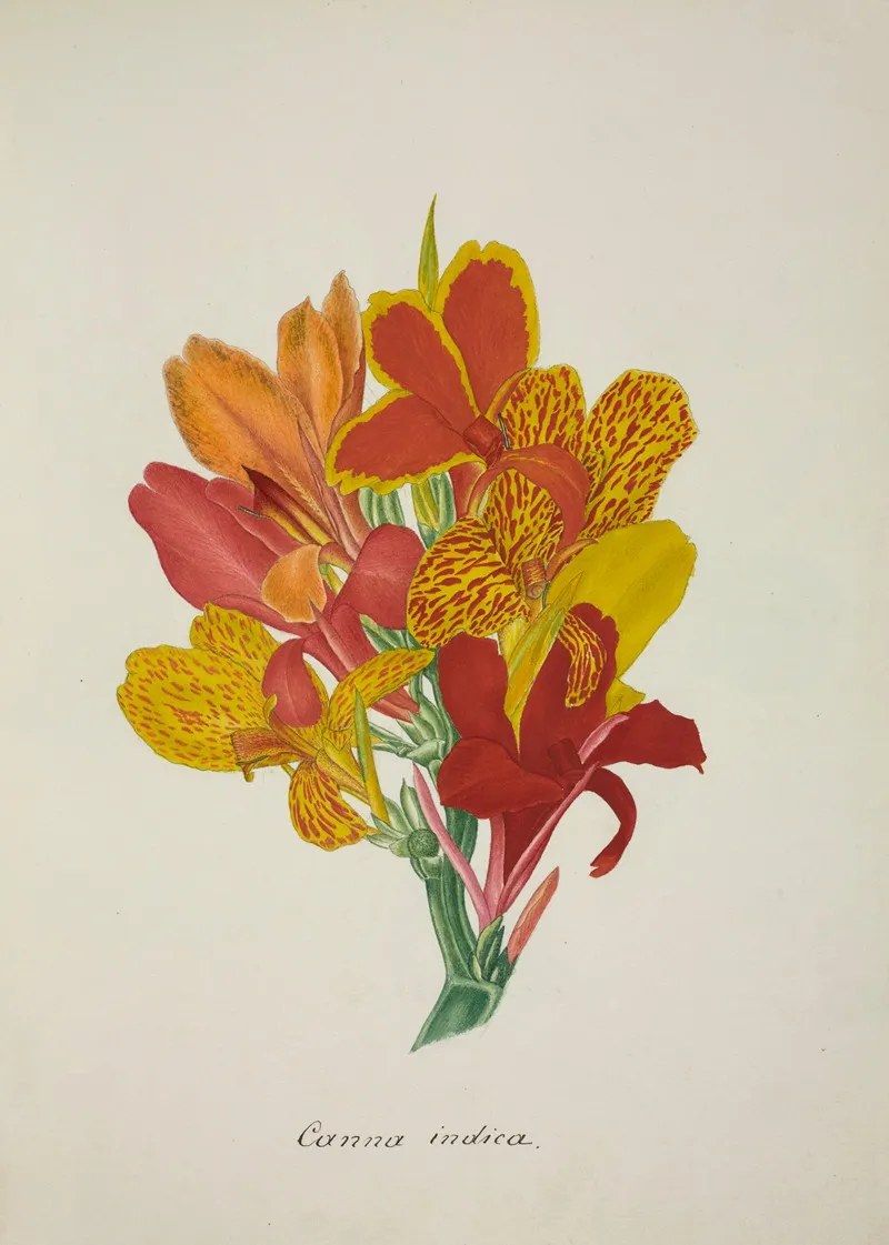 Mon Jardin A Ceylan Pl 052 Wall Art by George De Alwis - High-Resolution Digital Print