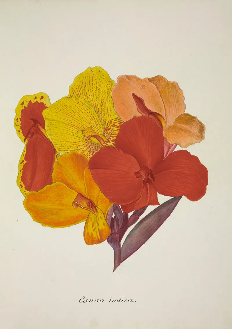 Mon Jardin A Ceylan Pl 054 Wall Art by George De Alwis - High-Resolution Digital Print