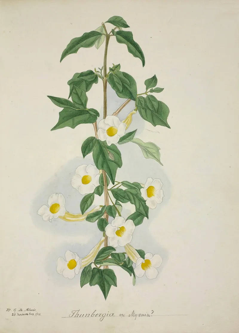 Mon Jardin A Ceylan Pl 055 Wall Art by George De Alwis - High-Resolution Digital Print