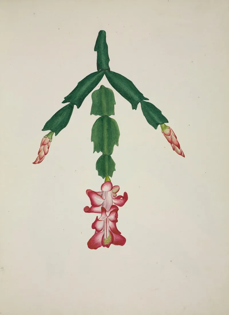 Mon Jardin A Ceylan Pl 059 Wall Art by George De Alwis - High-Resolution Digital Print