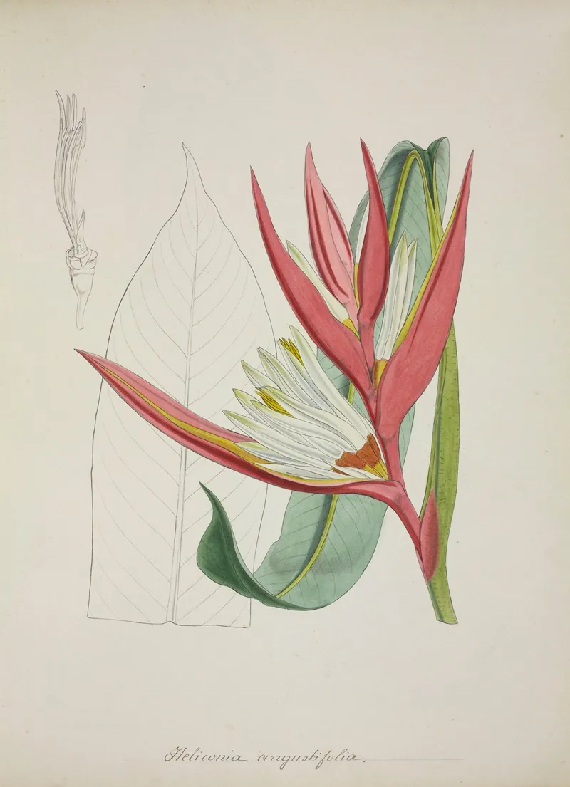 Mon Jardin A Ceylan Pl 069 Wall Art by George De Alwis - High-Resolution Digital Print